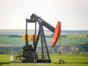 black and orange metal machine on green grass field during daytime